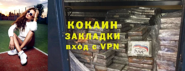 шишки Горнозаводск